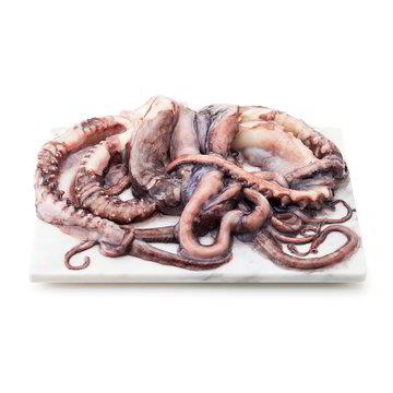 TENTACOLI DI TOTANO